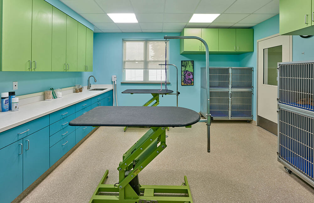 Veterinary Hospital Design and Planning Architectural Services